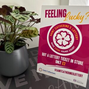 Custom Strut Cards